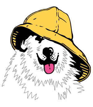 A Seadog A Seadog